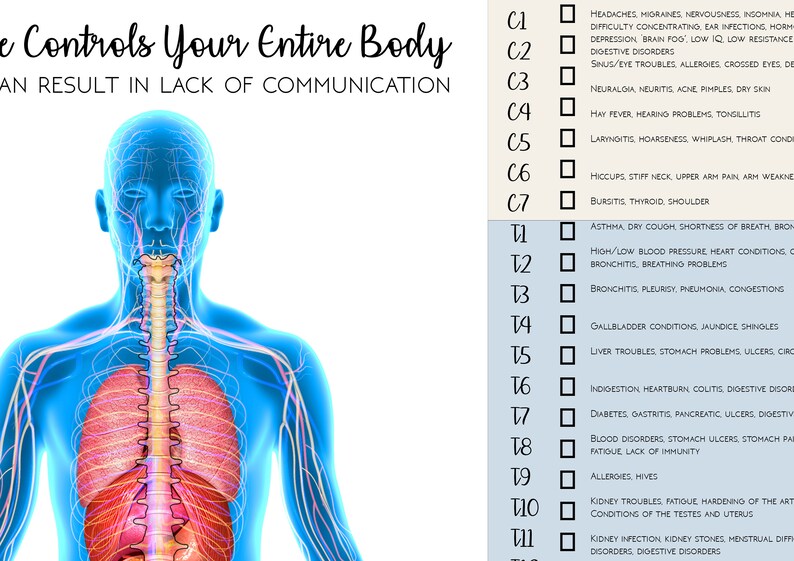 Markable Subluxation Chart Chiropractic Report Of Etsy