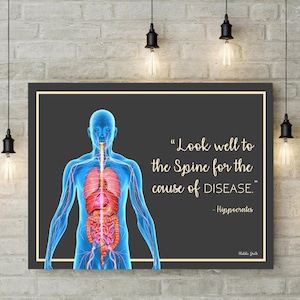 Spine // Chiropractic // Subluxation // Symptoms // Nervous System // Healing // Pain // Anatomy