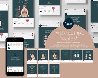Chiropractic Canva Template For Instagram Post // Nervous System // Chiropractic Instagram Graphic // Disc Herniations // Misalignments