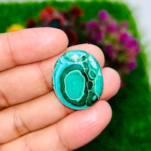 Natural Malaquita Piedra Preciosa Cabujón AAA Calidad Verde Mixto Surtido Lote Multi Joyería Haciendo Piedra Piedra Preciosa Suelta Colgante Haciendo Piedra