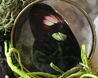 Longwing Butterfly Pendant