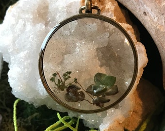 Succulent Resin Pendant