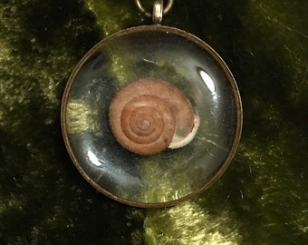 Cruelty Free Snail Shell Pendant