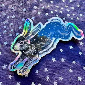 Peut inclure: Un autocollant holographique représentant un lapin noir avec un motif étoilé, sautant en l'air. L'autocollant a une finition arc-en-ciel irisée.