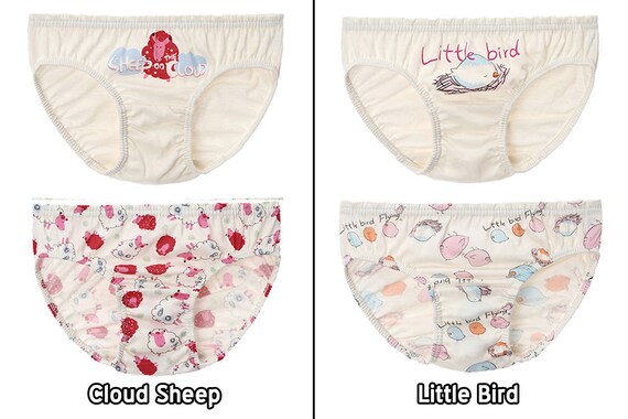 HiOrganic 100/% Organic Cotton Toddler Boys Underwear Panty 2 Pack 3T-7
