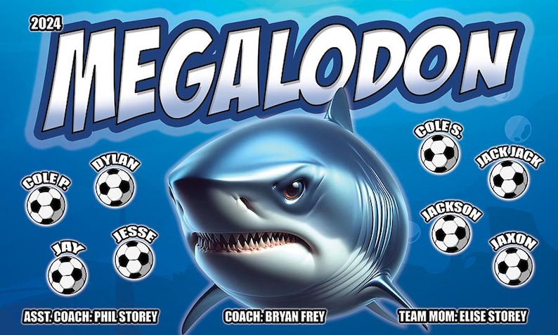 Puede incluir: Gr&aacute;fico digital con un tibur&oacute;n estilizado y la palabra "MEGALODON" encima. Balones de f&uacute;tbol con nombres de jugadores rodean al tibur&oacute;n. El texto incluye "2024", "ASST. COACH: PHIL STOREY", "COACH: BRYAN FREY" y "TEAM MOM: ELISE STOREY".