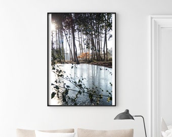 Photography Poster Poster Bach In Wald Printable Etsy