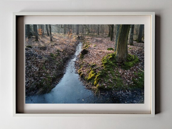 Photography Poster Poster Bach In Wald Printable Etsy