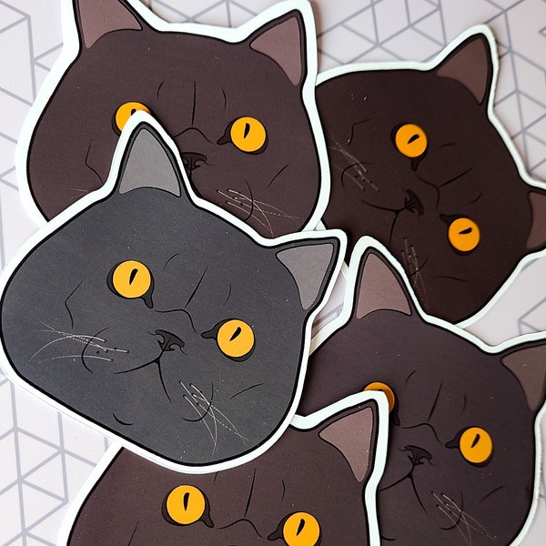 British Short-hair Cat Sticker (Gray with Orange Eyes)