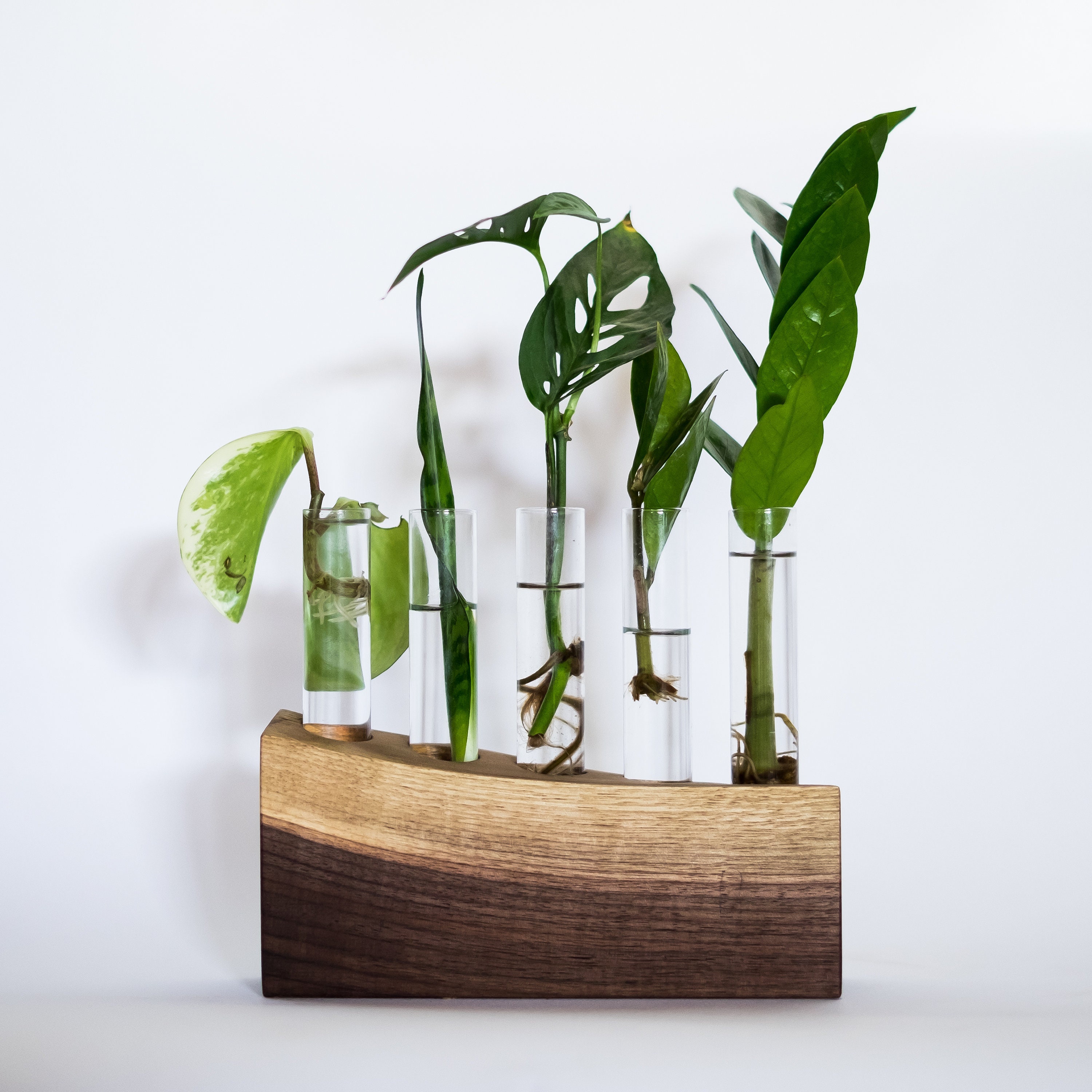 Live Edge Propagation Block Walnut Five Tubes / Propagation Station