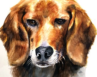 Watercolor Beagle