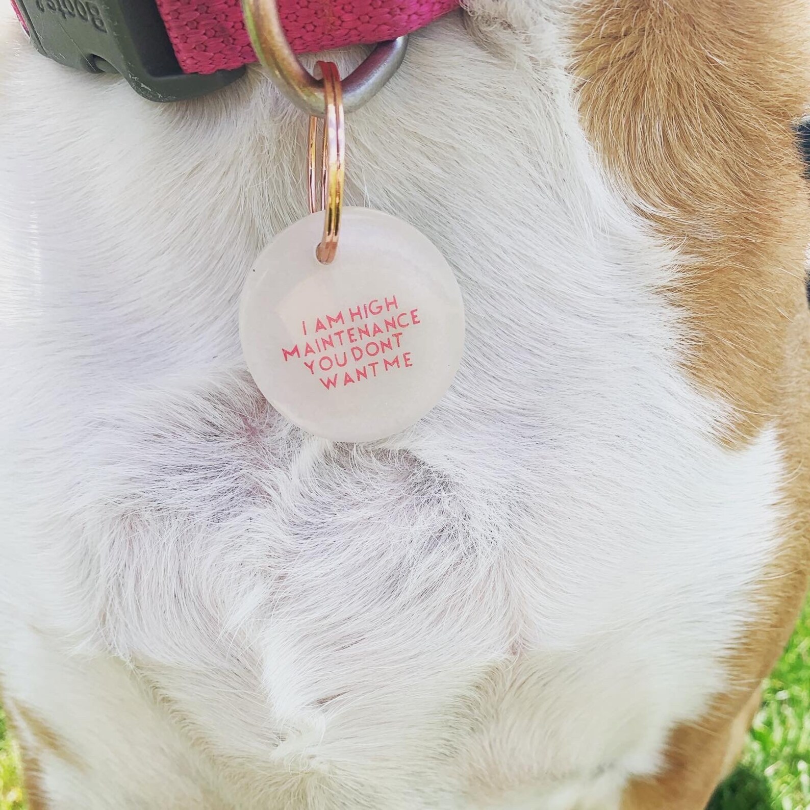 Etiquetas de identificación de mascotas Etsy