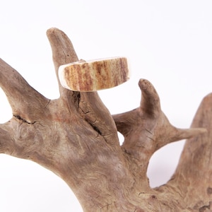 Könnte beinhalten: Ein Ring aus natürlichem Hirschgeweih mit einem hellbraunen und weißen Muster, auf einem Stück Treibholz ausgestellt.
