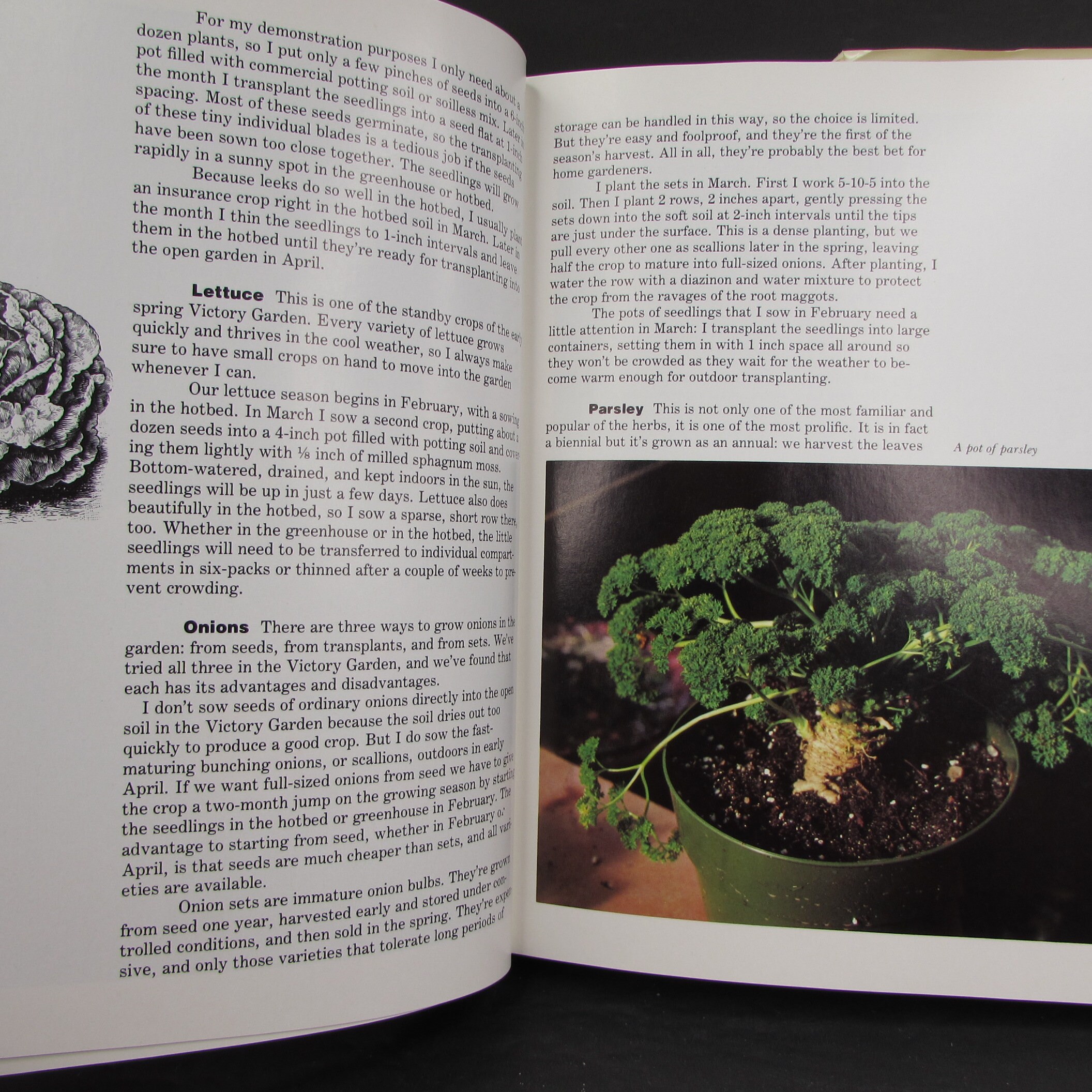 Crocketts Victory Garden James Underwood Crockett 1977 2nd | Etsy