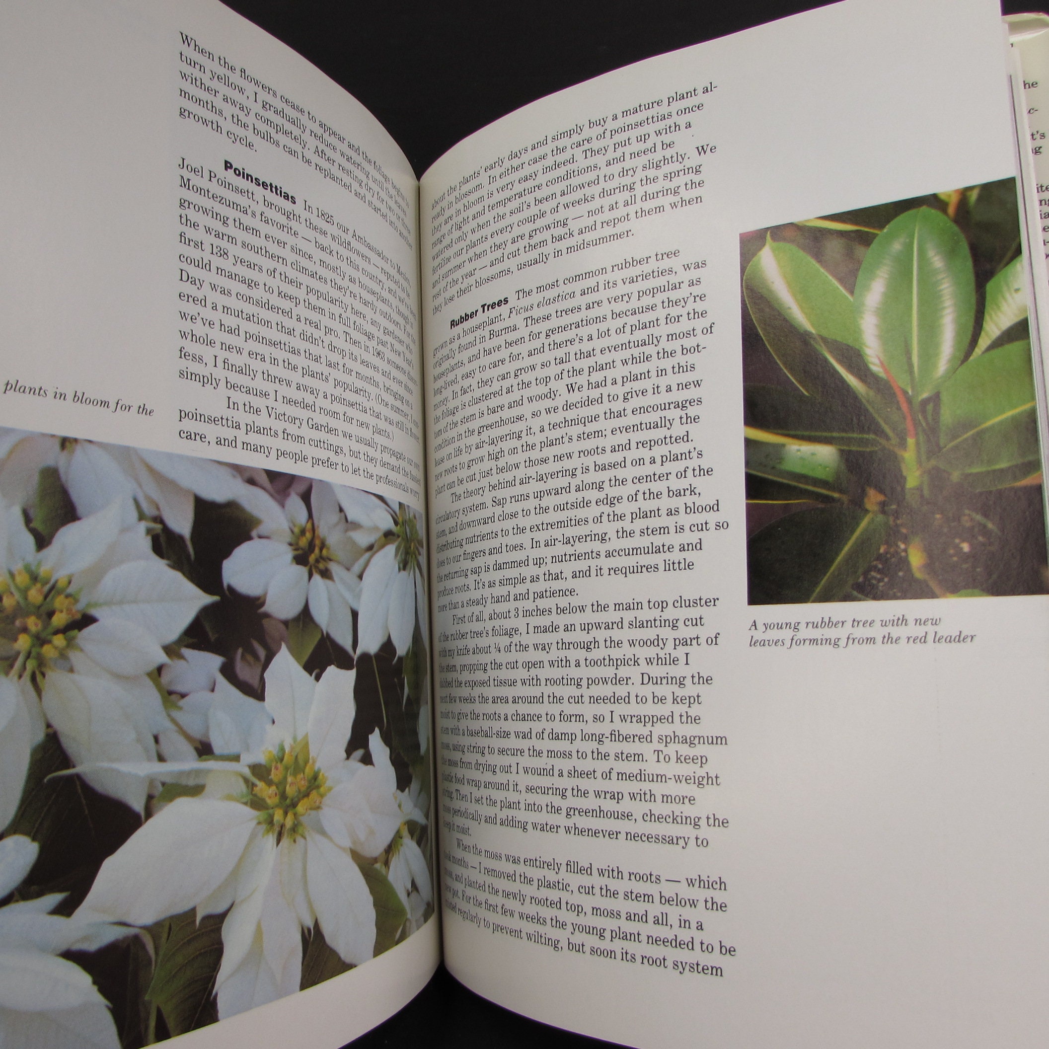 Crocketts Victory Garden James Underwood Crockett 1977 2nd | Etsy