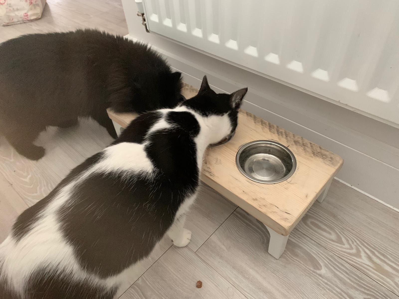 Wooden Cat Bowl Stand Etsy UK