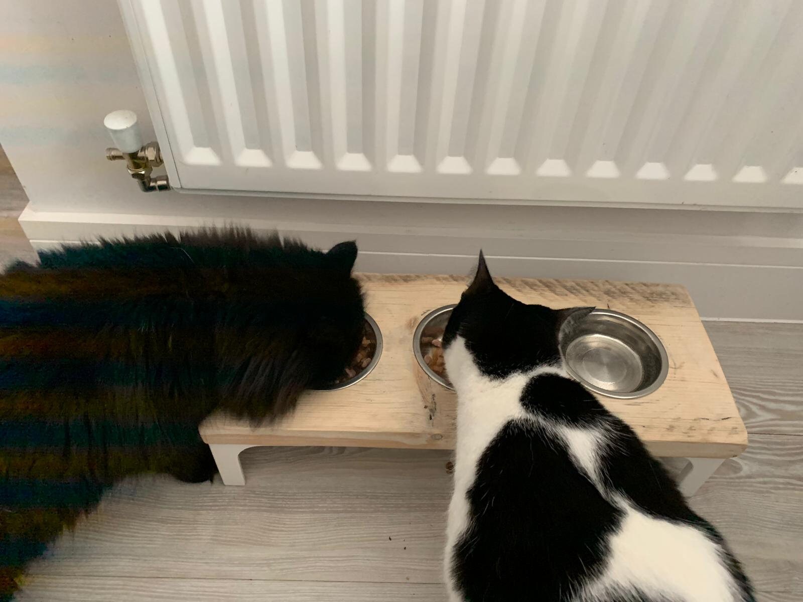 Wooden Cat Bowl Stand Etsy UK