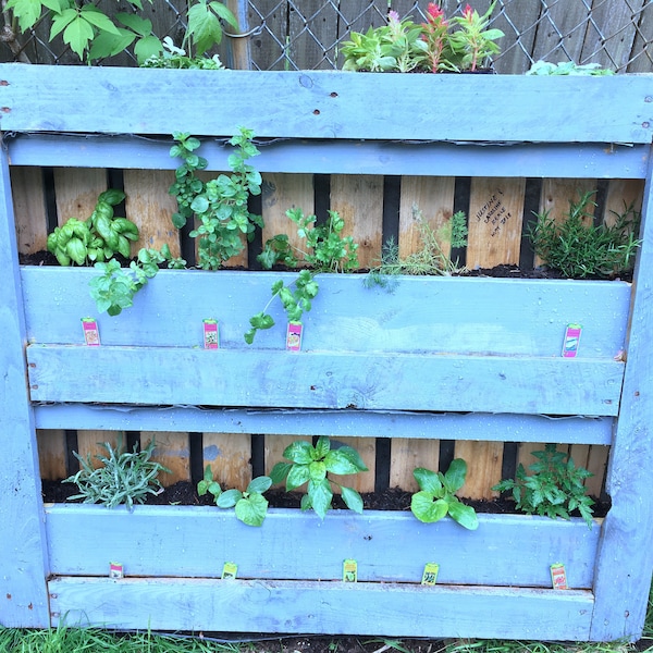 Herb Garden Planter Etsy