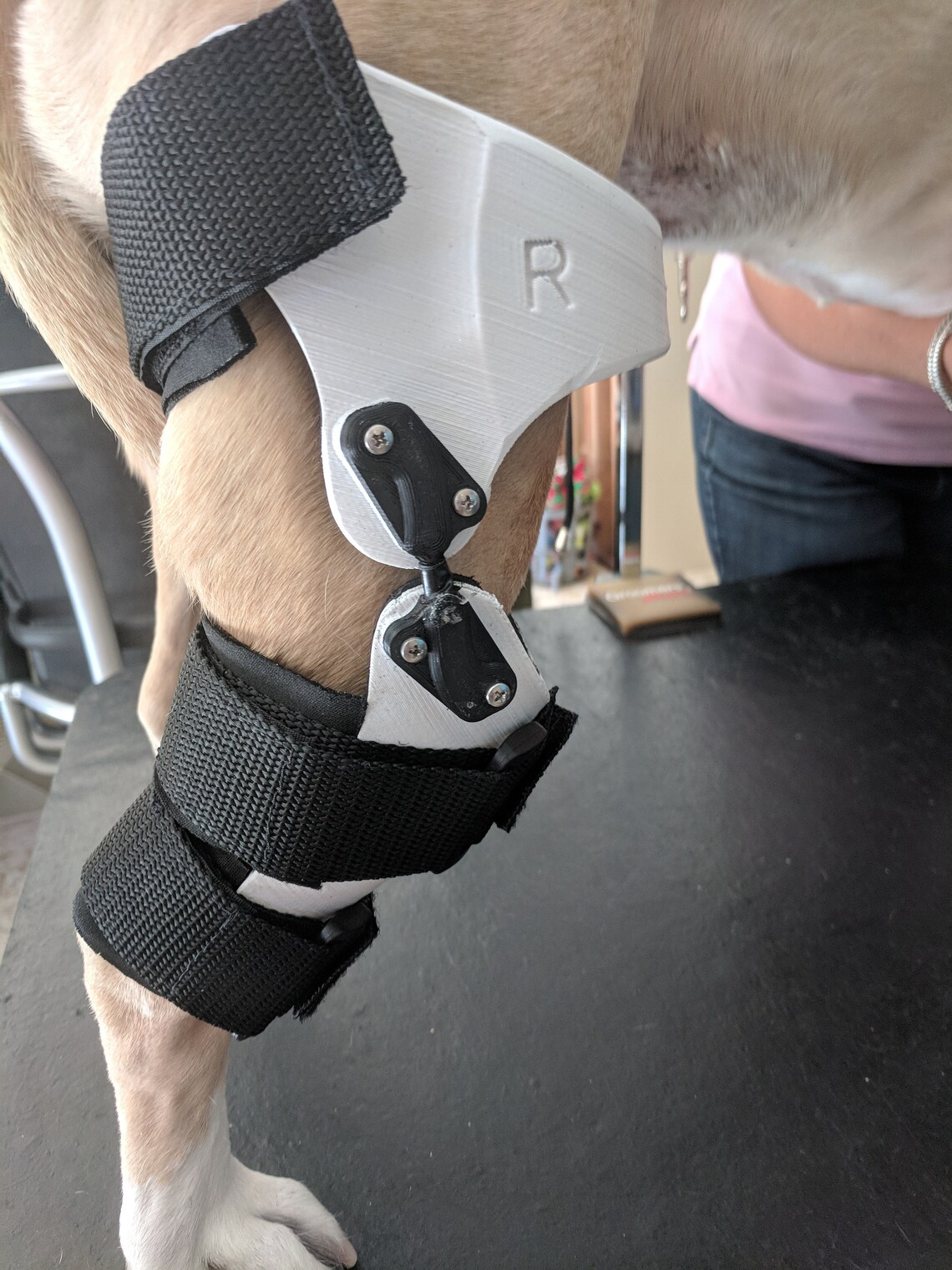 Canine Knee Brace Dog Stifle Brace Pet CCL Brace 3D Orthosis Etsy