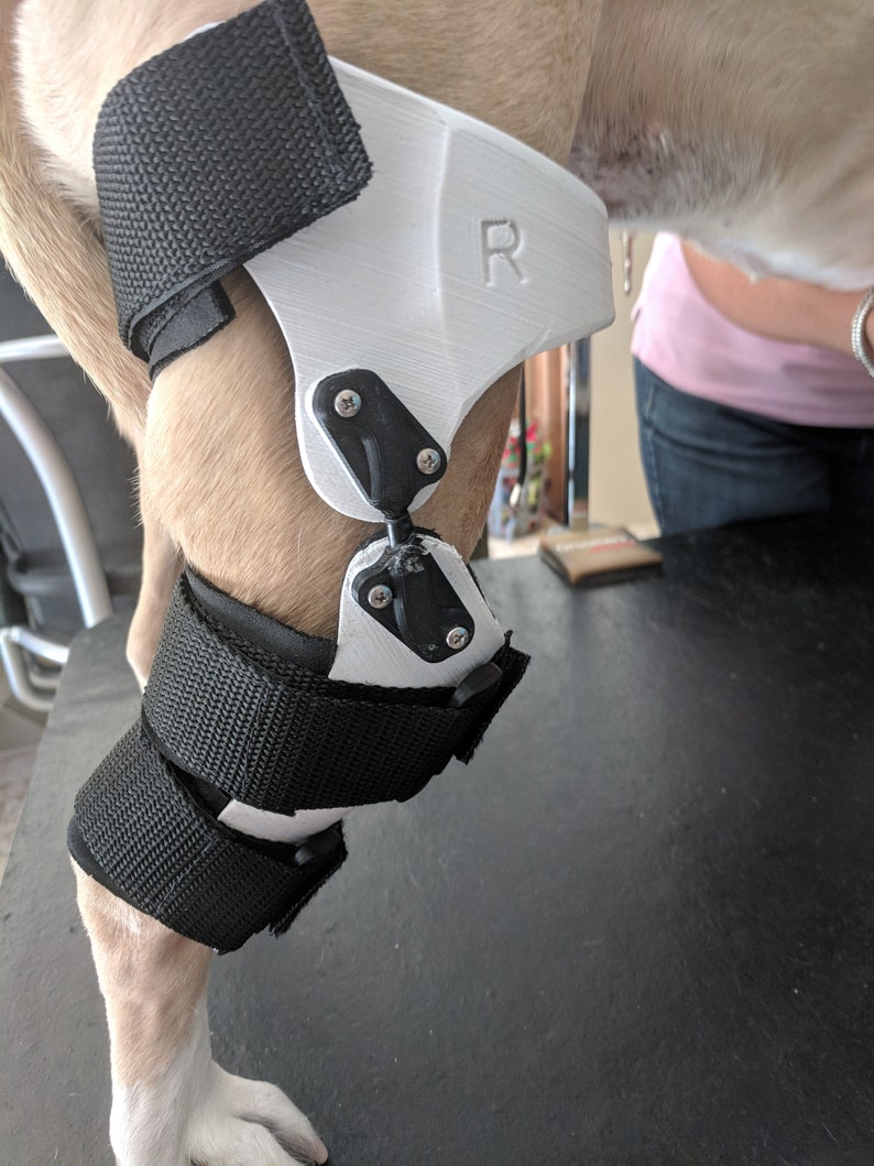 canine-knee-brace-dog-stifle-brace-pet-ccl-brace-3d-orthosis-etsy