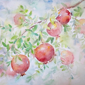Beautiful Watercolor Pomegranates Print Of Original Watercolour Painting. Kitchen Wall Art. Garden Art. Fruit Print. Pomegranates Art