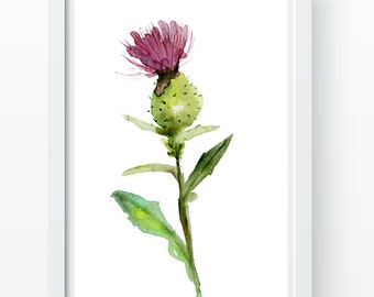 Thistle Print. Herb Wall Art. Thistle Painting. Thistle Poster of Original Watercolor Painting. Thistle Art. Flowers Fine Art. Floral Poster
