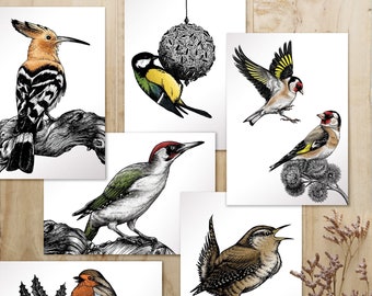 Cards A6 "Bird is the word" individually or in a set