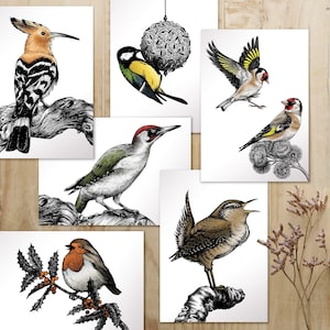 Cartes A6 "Oiseau est le mot" individuellement ou en set