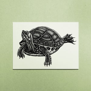 Card A6 "Turtle"