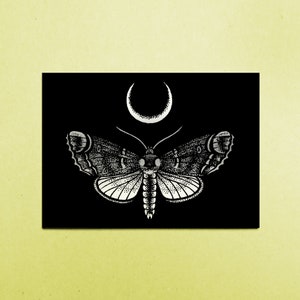 Tarjeta A6 "Moonbird y Moon" (mariposa)