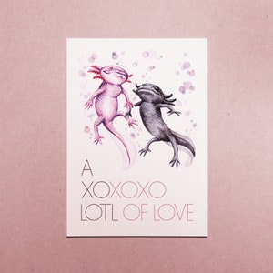 Carte A6 "Axolotl Amour"
