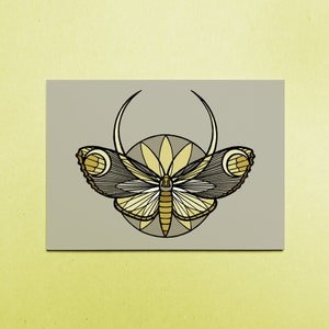 Karte A6 "Mondvogel" (Schmetterling)