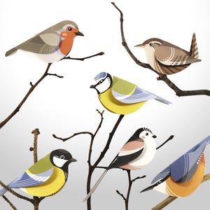 Bastelset „Ästlinge“ – 6 Papiervögel als Bastelbogen im Postkartenformat als Baumschmuck und Zimmerdekoration, DIY