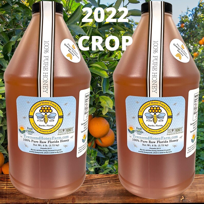 1 Gallon FL Pure Raw Orange Blossom Honey 2022 CROP Best Etsy