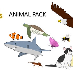 Little Charters printable Reward/routine Chart Animal Pack Cards, colouring, and activity sheets image 6