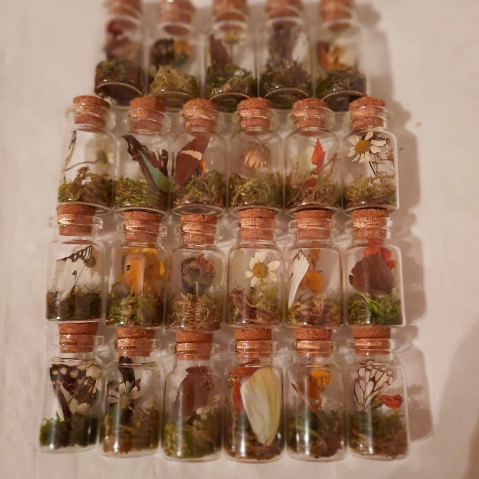 SET OF 3 Curio Trinket Jar Set Curio Jars Butterfly Etsy UK