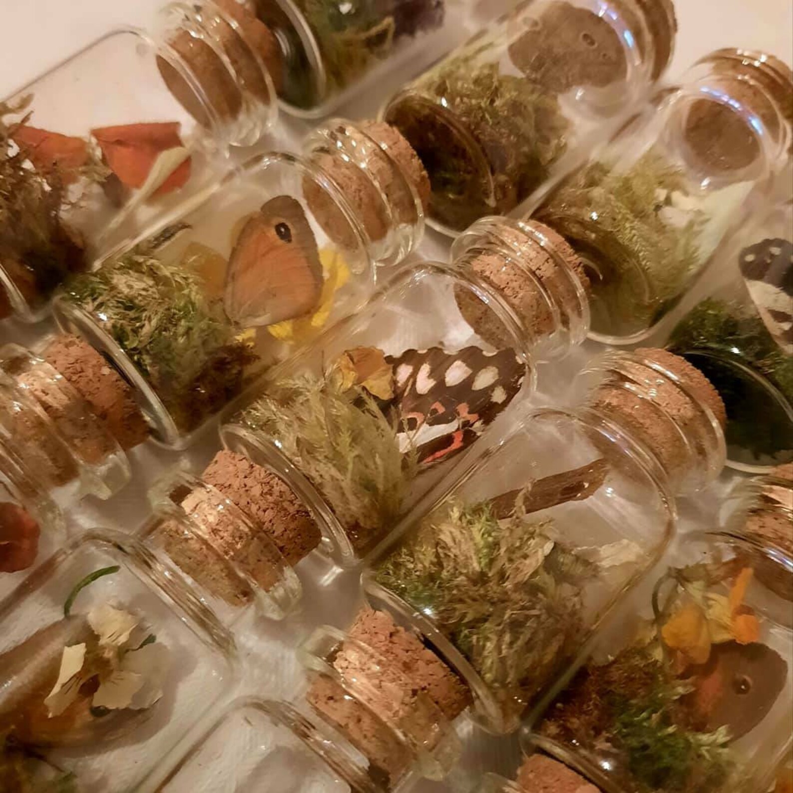 SET OF 3 Curio Trinket Jar Set Curio Jars Butterfly Etsy UK