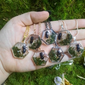 Jewelry curio deals