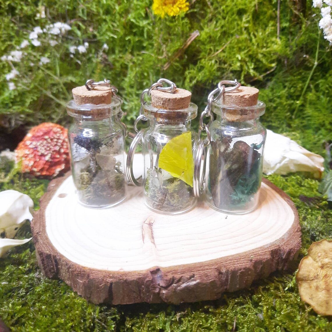 SET OF 3 Curio Trinket Jar Set Curio Jars Butterfly Etsy UK