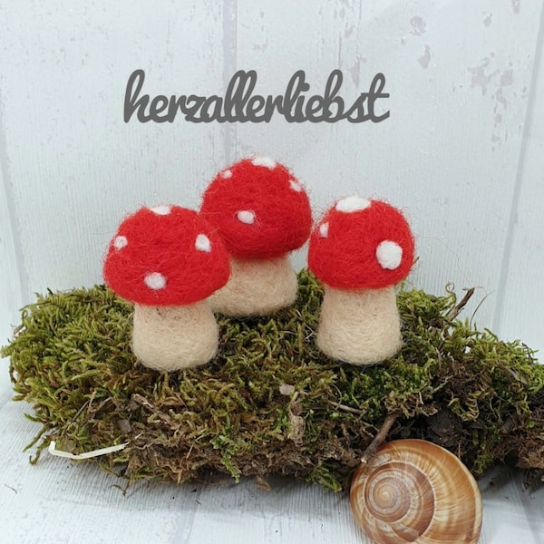 3, Filz Pilze, Fliegenpilz, gefilzt, needlefelt, Märchenwolle, Merinowolle, mit der Nadel gefilzt, Filzpilz, Türkranz, Tischkranz, Kaufladen