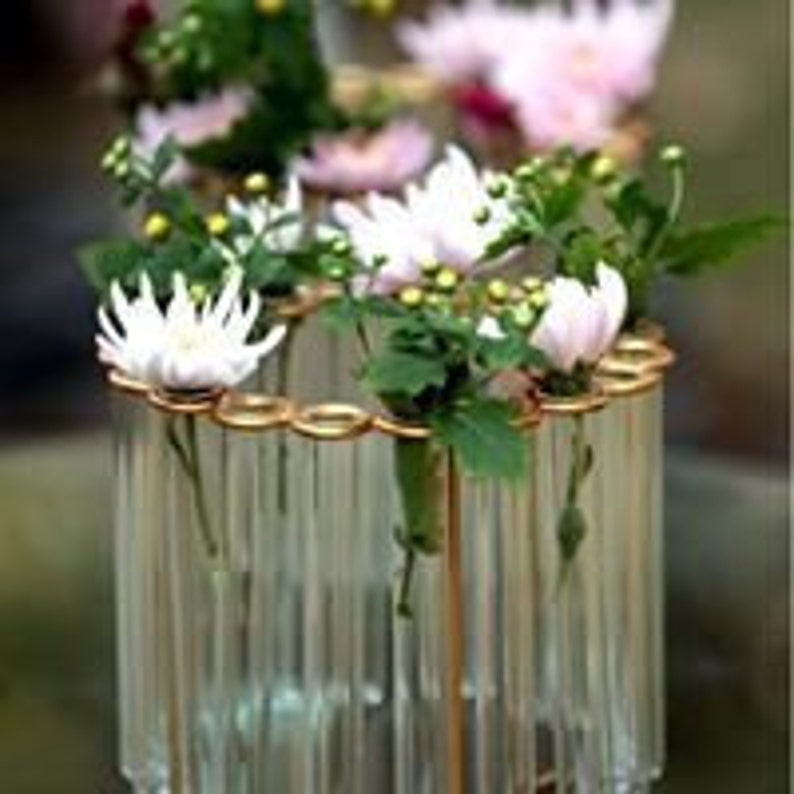 Circular Test Tube Vase Etsy