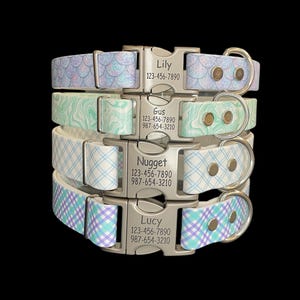 Patterned BioThane® Dog Collar with Engraved Silver Quick-Release Buckle