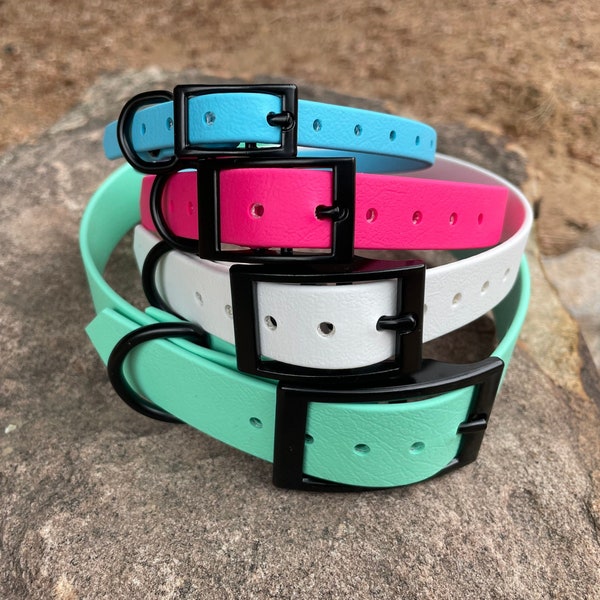 BioThane® Dog Collar with Black Buckle