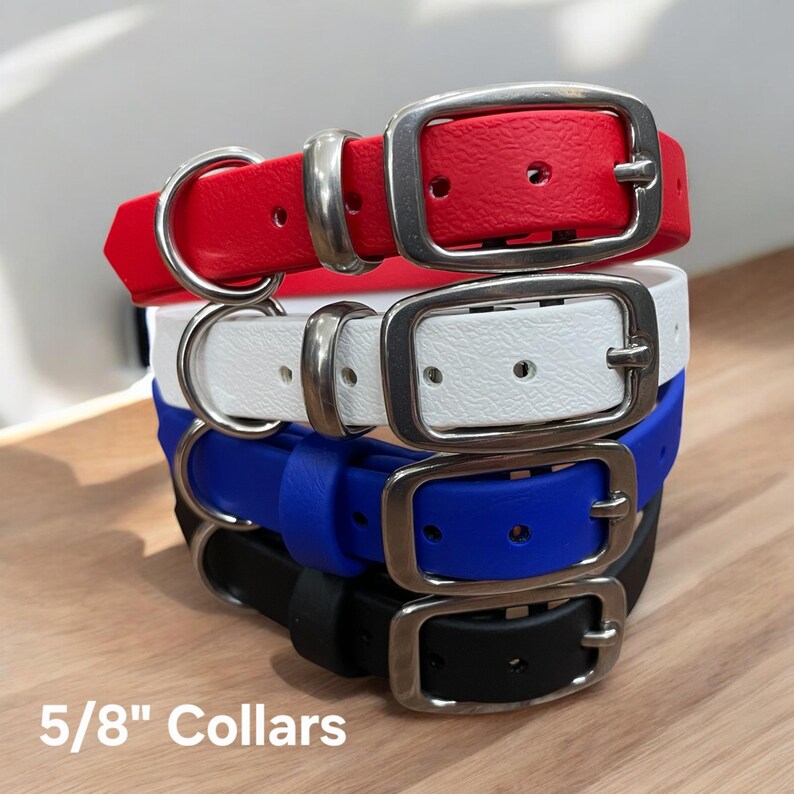 BioThane® Dog Collar with Stainless Steel Buckle image 4