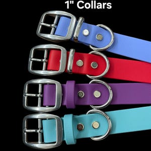 BioThane® Dog Collar with Stainless Steel Buckle image 2