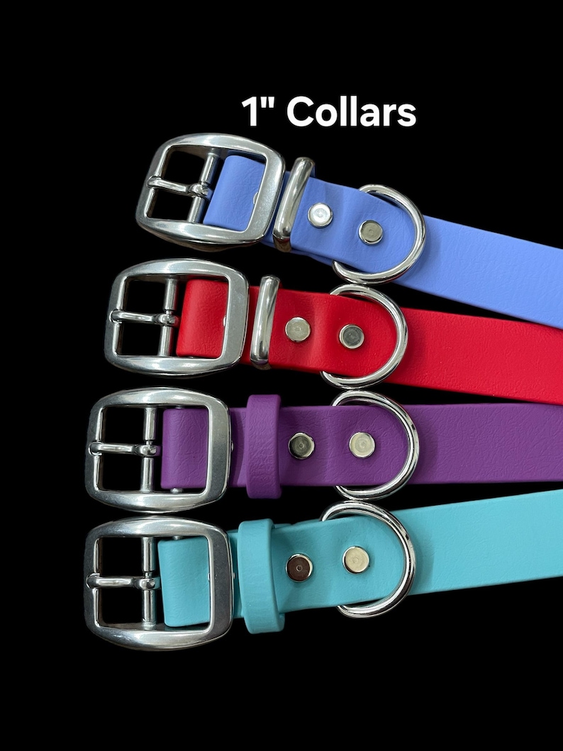 BioThane® Dog Collar with Stainless Steel Buckle image 2