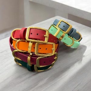 Collar para perro BioThane® con hebilla de latón macizo.