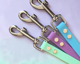 5/8" Wide BioThane® Dog Leash with Stainless Steel Hardware for Medium-Sized Dogs