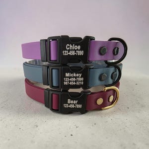 May include: Three stacked pet collars in purple, blue, and maroon. Each features a black plastic side-release buckle engraved with a name and phone number, including Chloe 123-456-7890, Mickey 123-456-7890 987-654-3210, and Bear 123-456-7890, with metal D-rings.