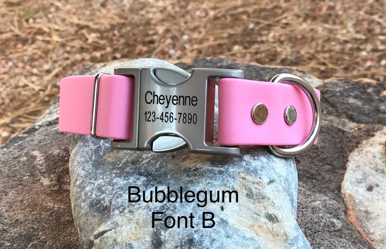 1 Wide Biothane Dog Collar With Engraved Silver Buckle Etsy